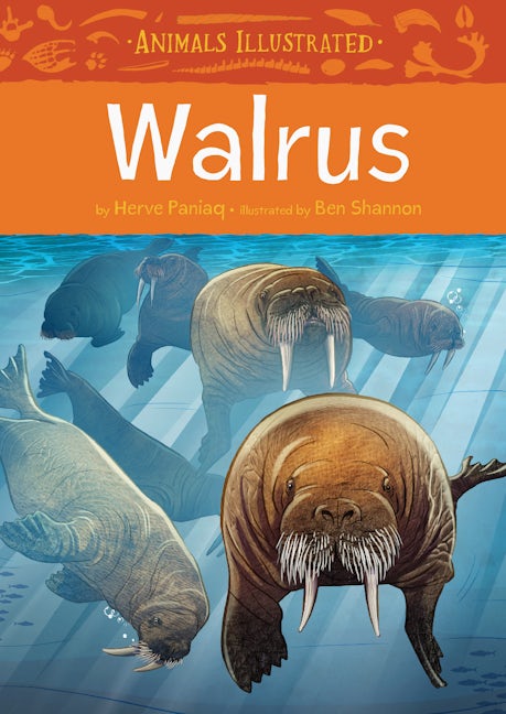 Book cover image for Animals Illustrated: Walrus ISBN: 9781772271423